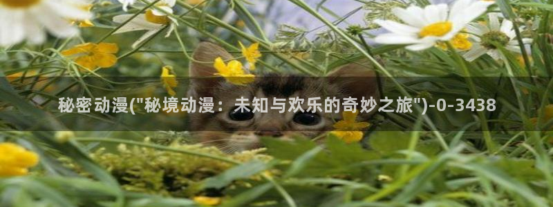图片动漫
