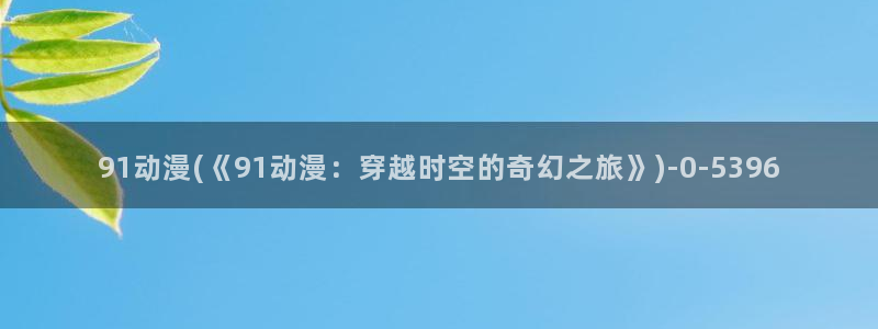 飞机杯动漫