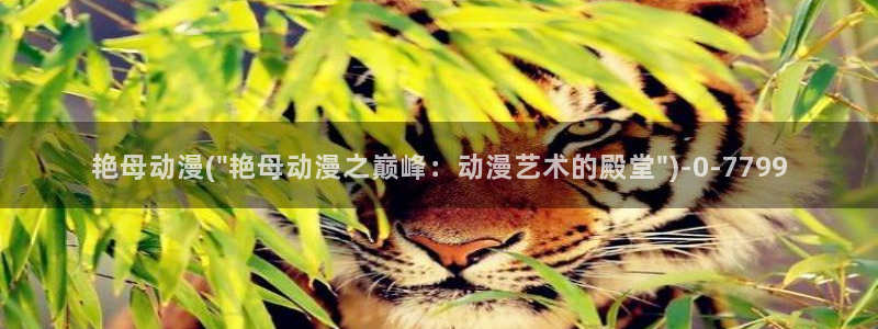 快乐方程式动漫