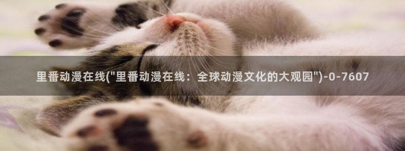 动漫资源