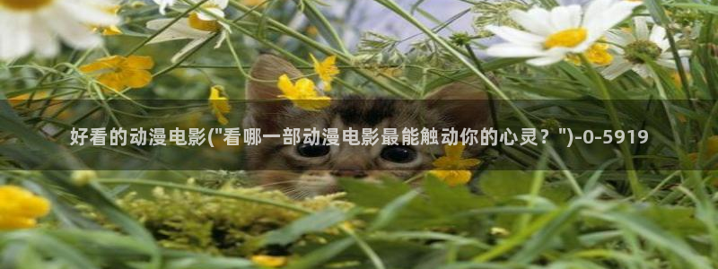 日本h动漫