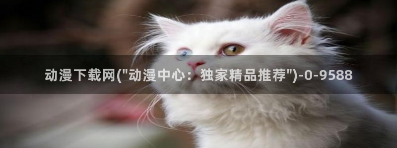 成人动漫：动漫下载网(\