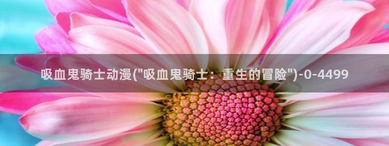 魔道祖师动漫