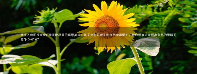 18禁动漫