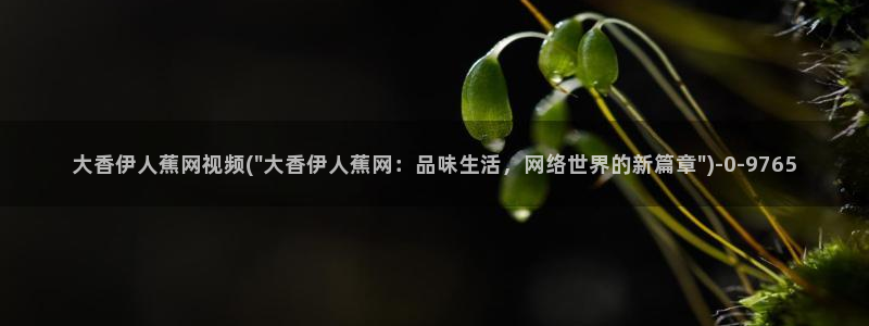 伊人红杏影院久久无码：大香伊人蕉网视频(\