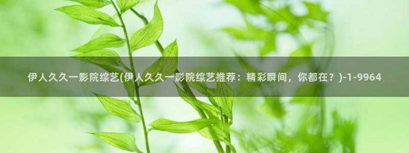 伊人C级视屏：伊人久久一影院综艺(伊人久久一影院综艺推荐：精
