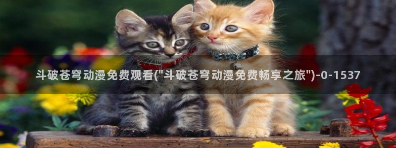 紧扣的星星动漫