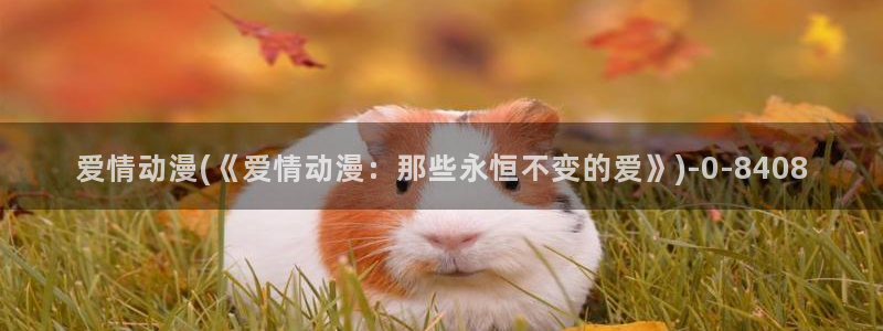 肉番动漫